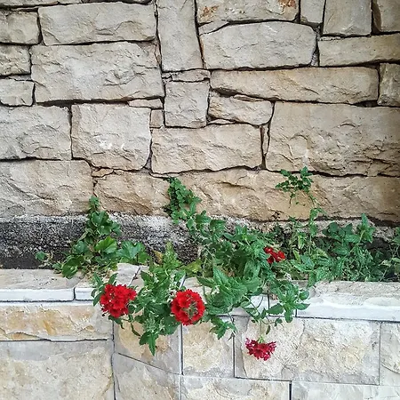 House Sara Hébergement de vacances